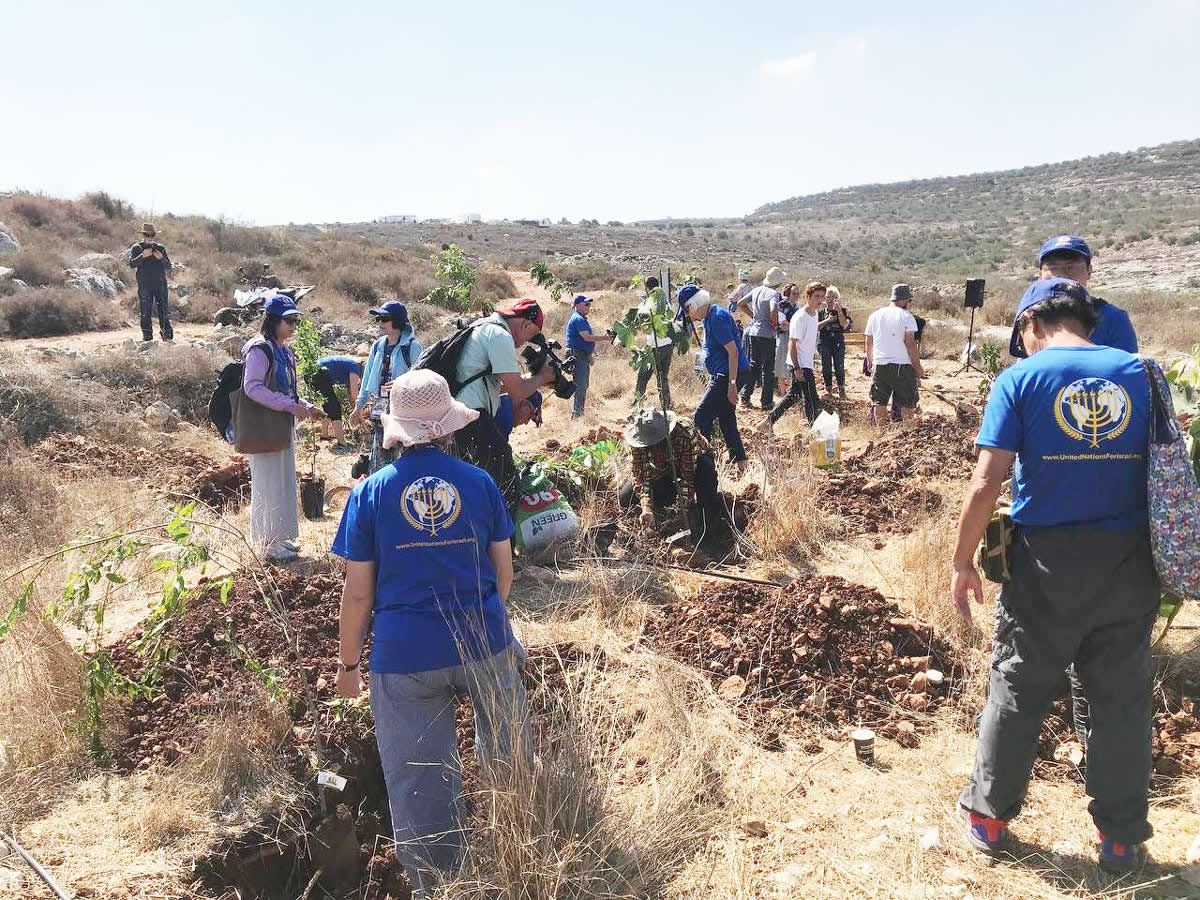 People planting trees in Israel