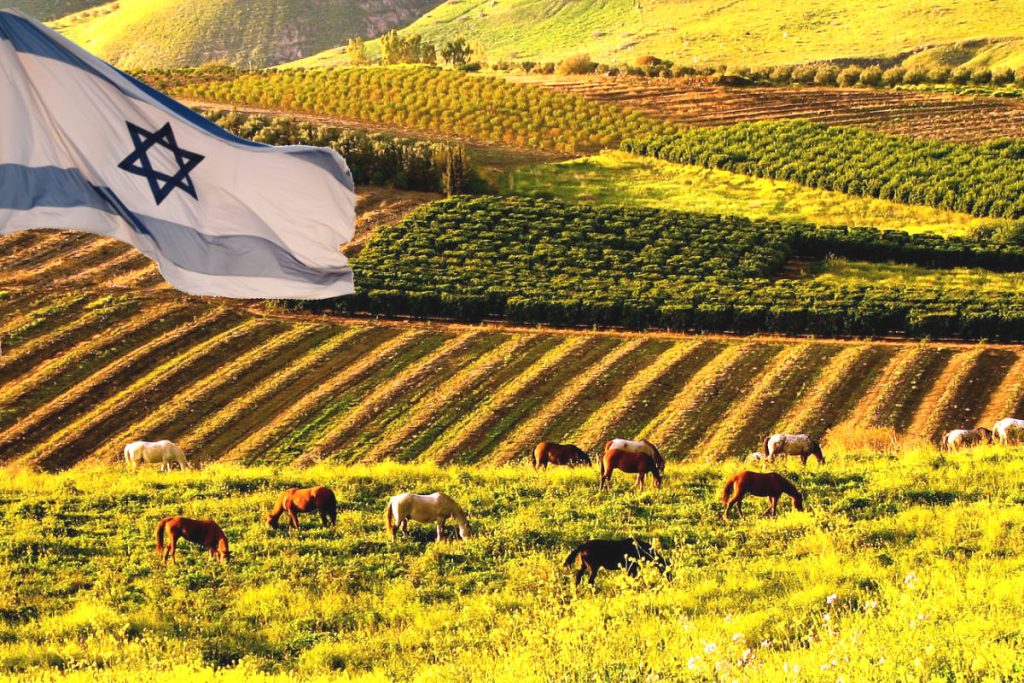 Green field with Israeli flag