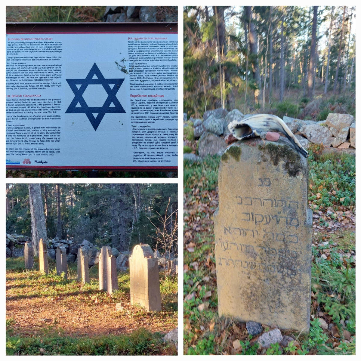 Jewish cemetery