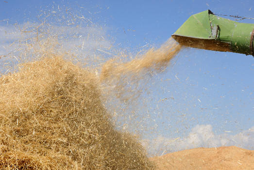 The Call to the Threshing Floor