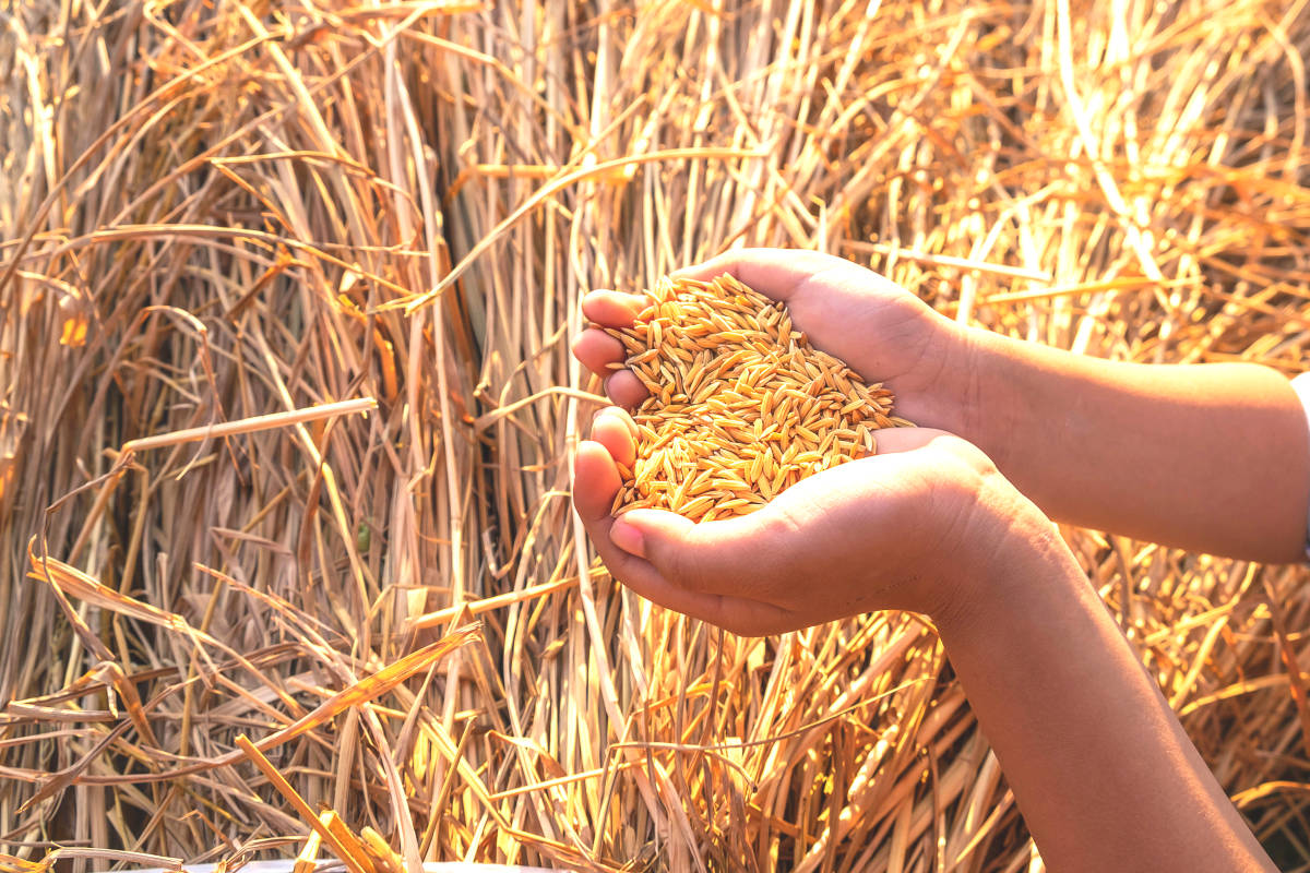 The Call to the Threshing Floor