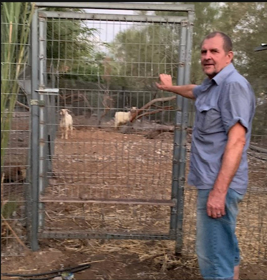 Three Lanes and the Divine Reset