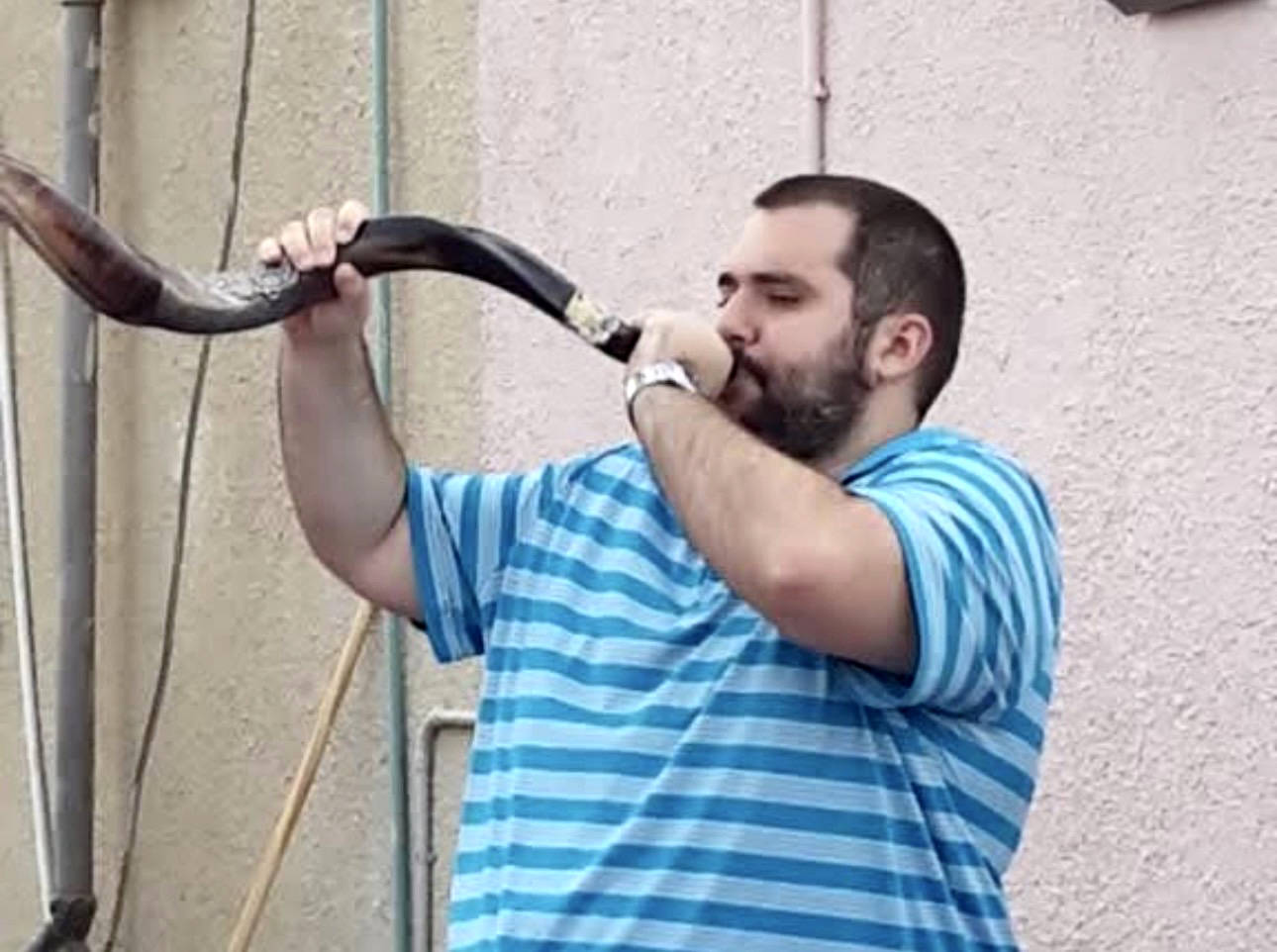 A Living Harvest for Tu B’Shevat