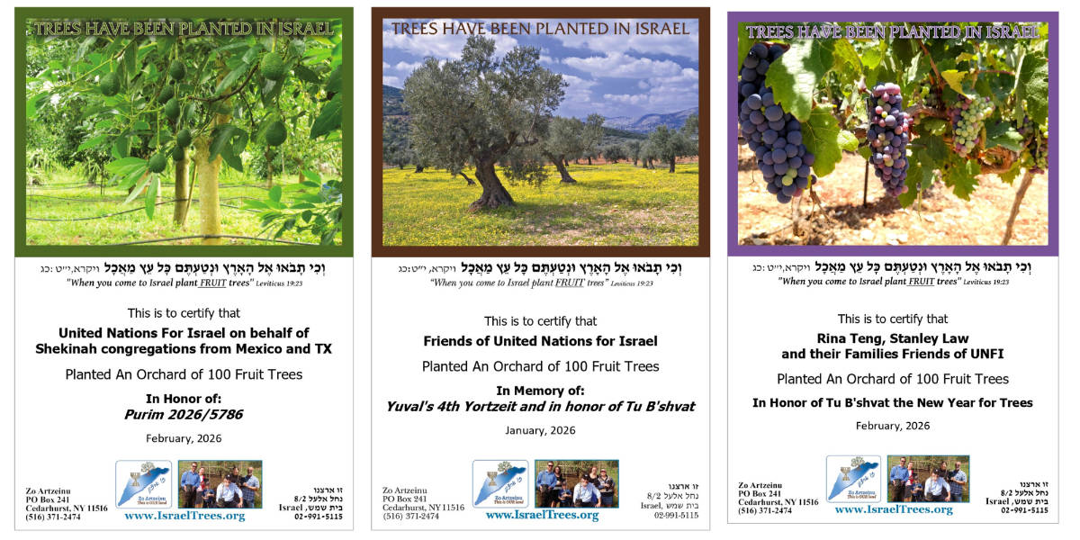 The Great Reversal - A Modern Day Purim