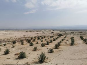 Sukkot Tour - gallery photo