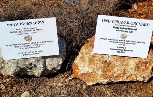Sukkot Tour - gallery photo