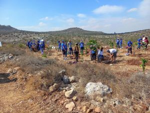 Sukkot Tour - gallery photo